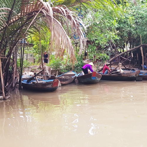 Around Saigon Trips- The Mekong